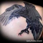 Фото тату черный ворон 15.04.2019 №223 - ideas black raven tattoo - tatufoto.com
