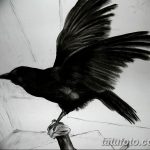 Фото тату черный ворон 15.04.2019 №228 - ideas black raven tattoo - tatufoto.com
