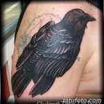 Фото тату черный ворон 15.04.2019 №238 - ideas black raven tattoo - tatufoto.com