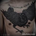 Фото тату черный ворон 15.04.2019 №241 - ideas black raven tattoo - tatufoto.com