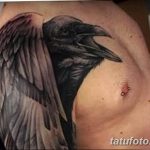 Фото тату черный ворон 15.04.2019 №255 - ideas black raven tattoo - tatufoto.com