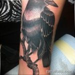 Фото тату черный ворон 15.04.2019 №268 - ideas black raven tattoo - tatufoto.com