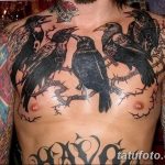 Фото тату черный ворон 15.04.2019 №275 - ideas black raven tattoo - tatufoto.com