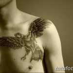 Фото тату черный ворон 15.04.2019 №280 - ideas black raven tattoo - tatufoto.com