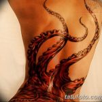 фото интересных и необычных тату 24.04.2019 №116 - Interesting tattoos - tatufoto.com
