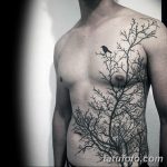 фото интересных и необычных тату 24.04.2019 №239 - Interesting tattoos - tatufoto.com