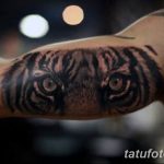 фото интересных и необычных тату 24.04.2019 №330 - Interesting tattoos - tatufoto.com