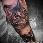 фото интересных и необычных тату 24.04.2019 №545 - Interesting tattoos - tatufoto.com