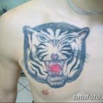фото не самых удачных тату рисунков 27.04.2019 №106 - unsuccessful tattoos - tatufoto.com