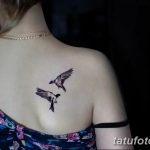 Фото тату на спине: две черные птицы в полете, минималистичный рисунок.