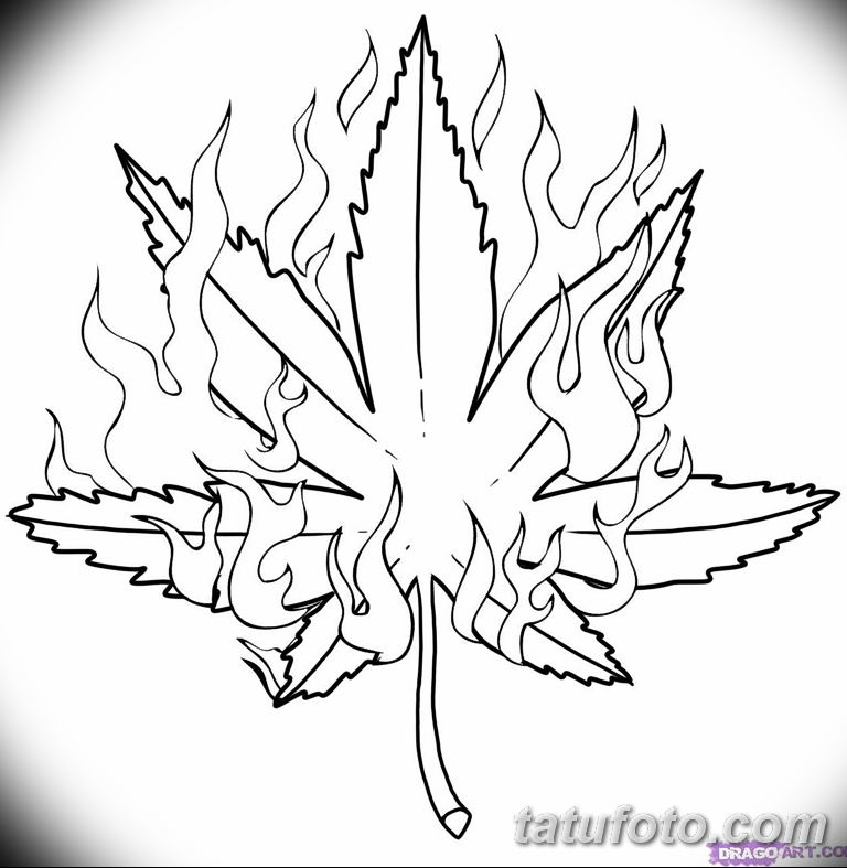 Конопля марихуана фото hydra life маска