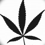 фото эскизы тату марихуана (конопля) 27.04.2019 №052 - tattoo marijuana - tatufoto.com