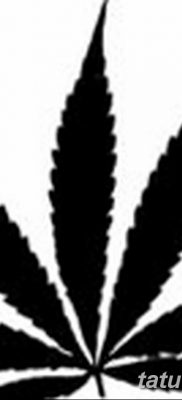 фото эскизы тату марихуана (конопля) 27.04.2019 №057 — tattoo marijuana — tatufoto.com