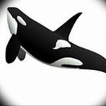 Эскиз для тату касатка 31.05.2019 №004 - sketch tattoo killer whale - tatufoto.com