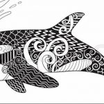 Эскиз для тату касатка 31.05.2019 №013 - sketch tattoo killer whale - tatufoto.com