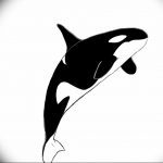 Эскиз для тату касатка 31.05.2019 №020 - sketch tattoo killer whale - tatufoto.com