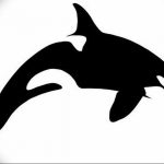 Эскиз для тату касатка 31.05.2019 №021 - sketch tattoo killer whale - tatufoto.com