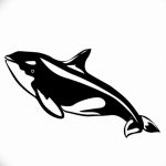 Эскиз для тату касатка 31.05.2019 №025 - sketch tattoo killer whale - tatufoto.com