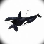 Эскиз для тату касатка 31.05.2019 №027 - sketch tattoo killer whale - tatufoto.com