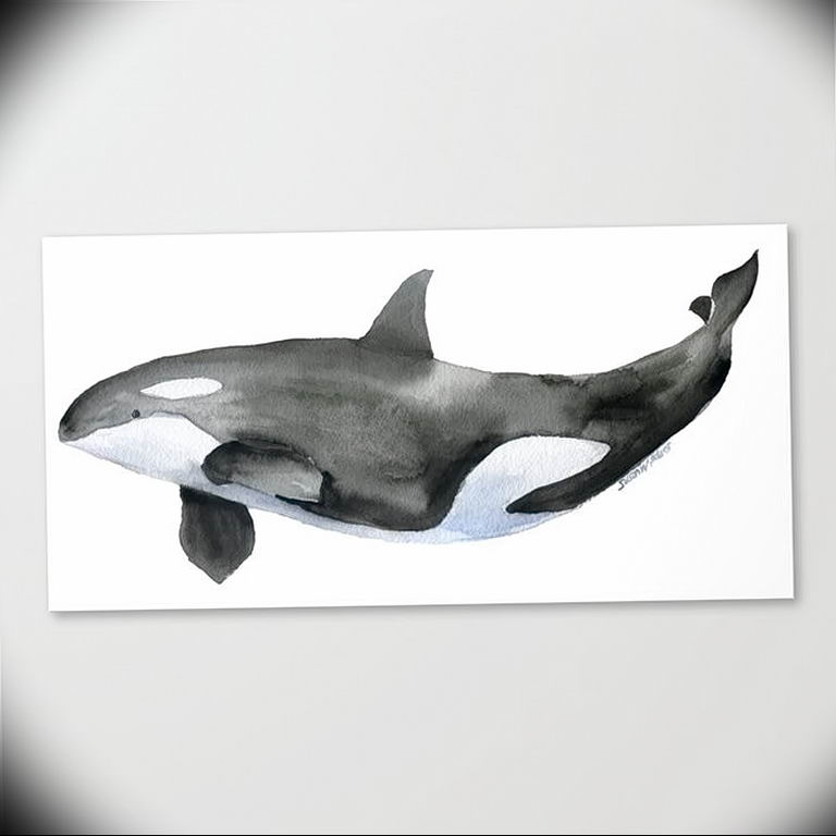 Эскиз для тату касатка 31.05.2019 №028 - sketch tattoo killer whale - tatufoto.com