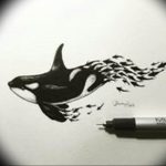 Эскиз для тату касатка 31.05.2019 №037 - sketch tattoo killer whale - tatufoto.com