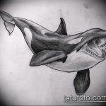 Эскиз для тату касатка 31.05.2019 №040 - sketch tattoo killer whale - tatufoto.com