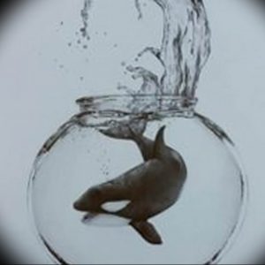 Фото тату косатки, плывущей в прозрачной стеклянной сфере, окруженной брызгами воды. Черно-белый рисунок татуировки с реалистичной детализацией.