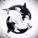 Эскиз для тату касатка 31.05.2019 №047 - sketch tattoo killer whale - tatufoto.com