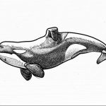 Фото тату косатки, выполненное в технике pointillism (пуантилизм) с использованием множества точек. Реалистичное и детализированное изображение.