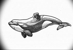 Фото тату косатки, выполненное в технике pointillism (пуантилизм) с использованием множества точек. Реалистичное и детализированное изображение.