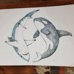 Эскиз татуировки, изображающий противостояние касатки и акулы, выполненный в графическом стиле с использованием спиральных узоров.