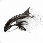 Эскиз татуировки касатки, выполненный техникой pointillism (пуантилизм) с использованием множества точек для создания изображения.