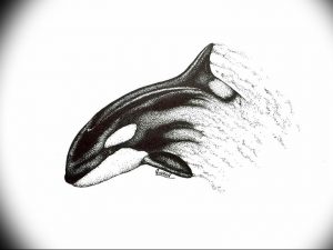 Эскиз татуировки касатки, выполненный техникой pointillism (пуантилизм) с использованием множества точек для создания изображения.