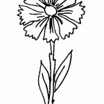 Эскиз для тату цветок василек 31.05.2019 №001 - Sketch tattoo cornflower - tatufoto.com