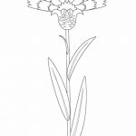 Эскиз для тату цветок василек 31.05.2019 №003 - Sketch tattoo cornflower - tatufoto.com