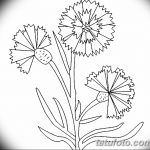 Эскиз для тату цветок василек 31.05.2019 №005 - Sketch tattoo cornflower - tatufoto.com