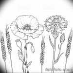 Эскиз для тату цветок василек 31.05.2019 №006 - Sketch tattoo cornflower - tatufoto.com