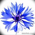 Эскиз для тату цветок василек 31.05.2019 №008 - Sketch tattoo cornflower - tatufoto.com