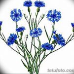 Эскиз для тату цветок василек 31.05.2019 №013 - Sketch tattoo cornflower - tatufoto.com