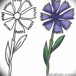 Эскиз для тату цветок василек 31.05.2019 №014 - Sketch tattoo cornflower - tatufoto.com
