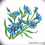 Эскиз для тату цветок василек 31.05.2019 №024 - Sketch tattoo cornflower - tatufoto.com