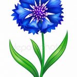 Эскиз для тату цветок василек 31.05.2019 №028 - Sketch tattoo cornflower - tatufoto.com