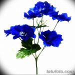 Эскиз для тату цветок василек 31.05.2019 №042 - Sketch tattoo cornflower - tatufoto.com