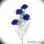 Эскиз для тату цветок василек 31.05.2019 №043 - Sketch tattoo cornflower - tatufoto.com
