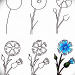 Эскиз для тату цветок василек 31.05.2019 №046 - Sketch tattoo cornflower - tatufoto.com