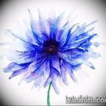 Эскиз для тату цветок василек 31.05.2019 №072 - Sketch tattoo cornflower - tatufoto.com