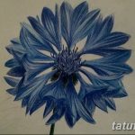Эскиз для тату цветок василек 31.05.2019 №075 - Sketch tattoo cornflower - tatufoto.com