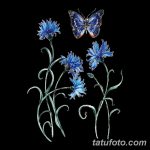 Эскиз для тату цветок василек 31.05.2019 №076 - Sketch tattoo cornflower - tatufoto.com