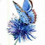 Эскиз для тату цветок василек 31.05.2019 №079 - Sketch tattoo cornflower - tatufoto.com