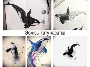 Коллаж из пяти эскизов татуировок с изображением касаток в разных стилях: графика, акварель, реализм и с добавлением цветов.